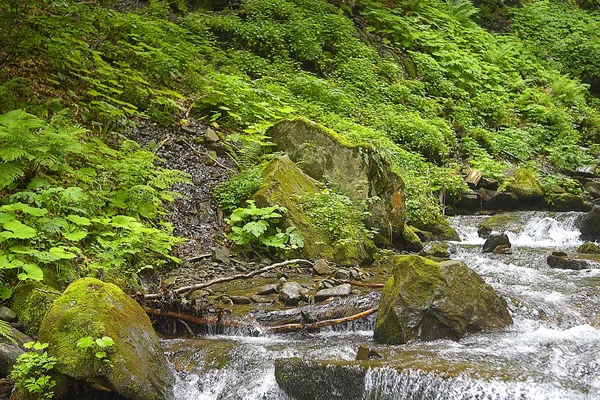 ウクライナの美しい山の風景 — ストック写真