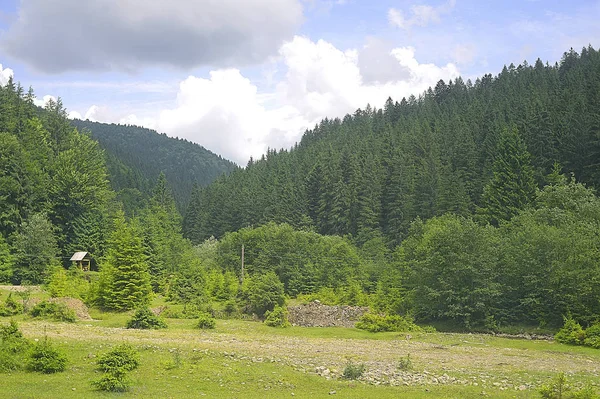 Krásná letní krajina. Karpatské hory — Stock fotografie