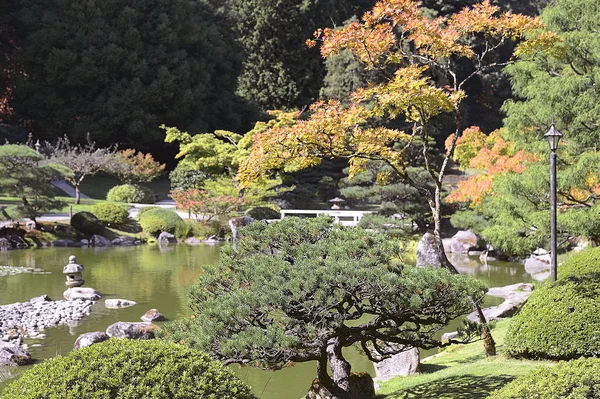 Beautiful autumn japanese garden in Seattle