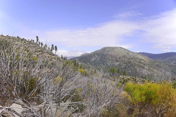 Yosemite national park valley in California — 스톡 사진