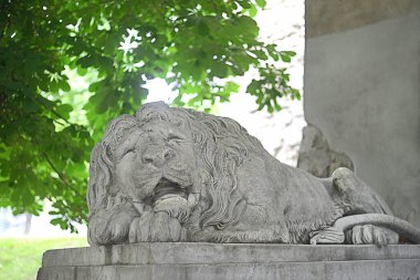 Lviv, Ukrayna 'daki tarihi aslan heykeli
