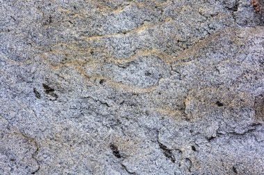 Gri taş doğal doku