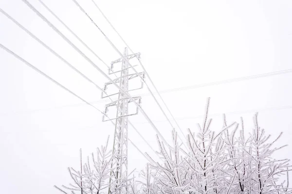 Besneeuwde en bevroren elektrische leidingen — Stockfoto