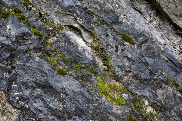 Textura natural de roca erosionada — Foto de Stock