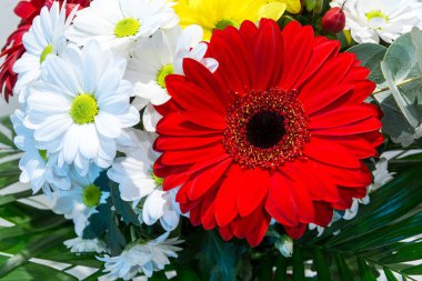 Güzel bir buket çok renkli çiçek