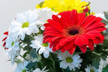 Güzel bir buket çok renkli çiçek