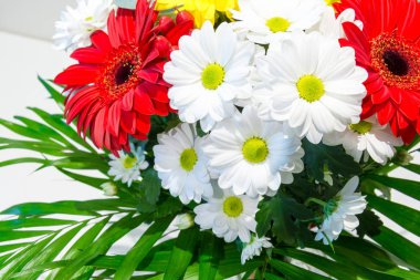 Güzel bir buket çok renkli çiçek