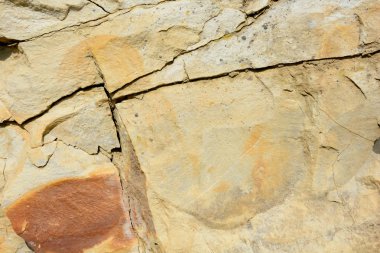 Bir arka plan doku doğal kaya