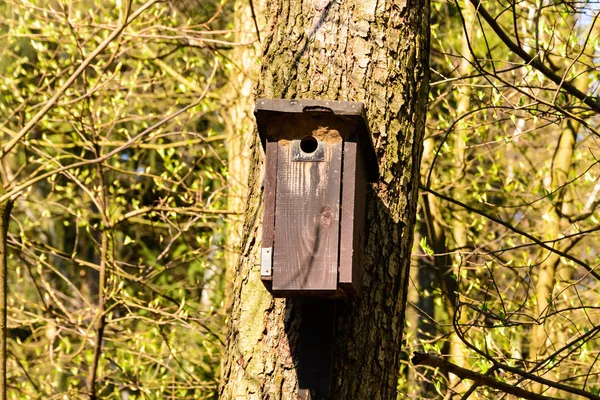 Cabina de pájaros colgada de un árbol —  Fotos de Stock