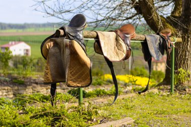Leather cowboy saddles hanging on the railing clipart
