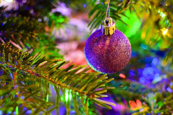 Ornamento de Natal roxo em uma árvore de Natal verde — Fotografia de Stock