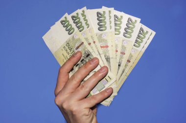 Yeşil çek banknotlar tutan el