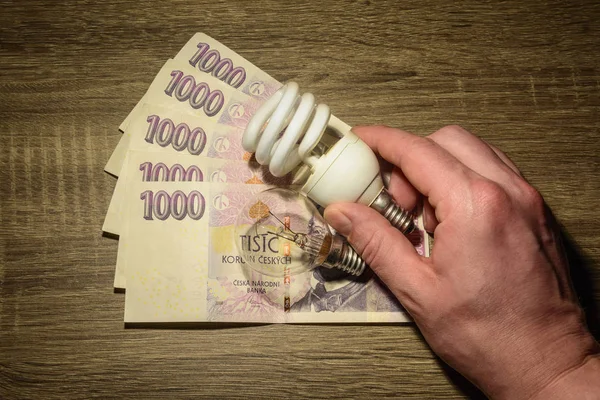 Ekolojik Avrupa tüp ampul tutan bir el