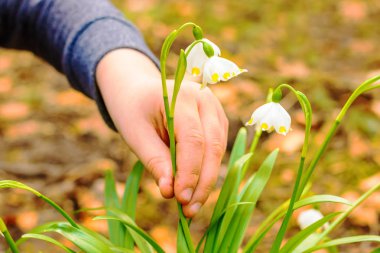 Bir elin bir elin detayı, kanundan korunan bir çiçeği nişdirme