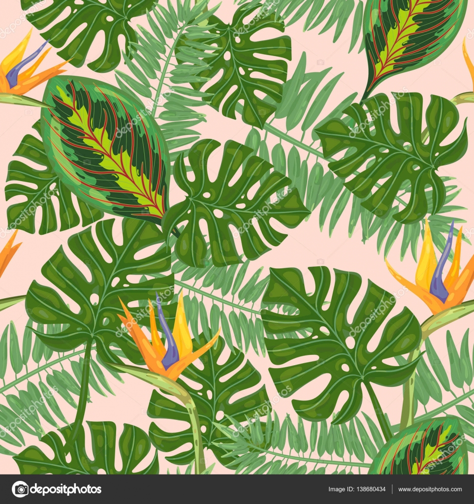 Modèle Sans Couture Avec Les Oiseaux De Paradis De Fleurs Et