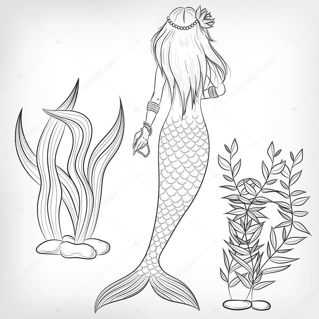 Free Free 331 Mermaid Diagram Svg SVG PNG EPS DXF File