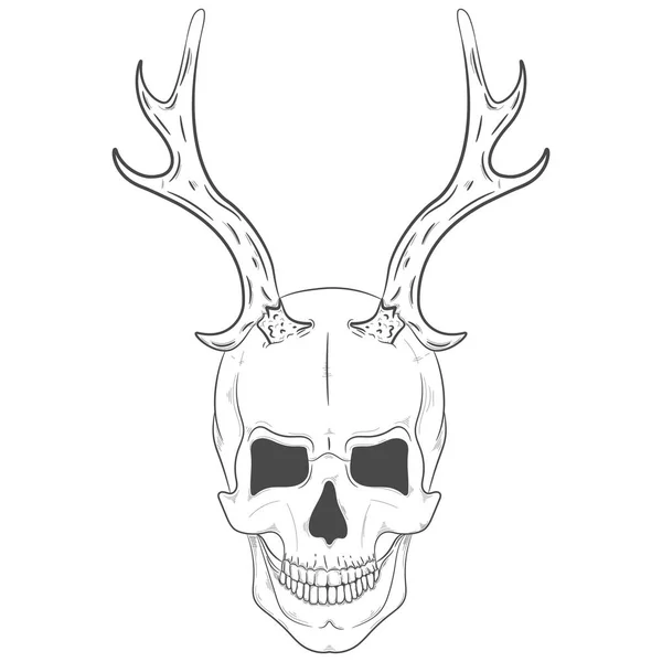 Illustration of a skull with horns. Vector print skull with antlers — Stock Vector