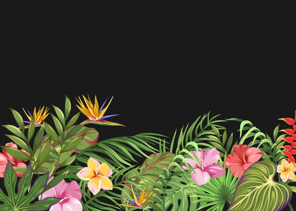 Dark Background Tropical Flowers Leaves — Stock Vector