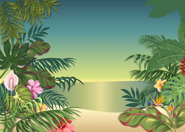 Achtergrond Met Tropische Planten Bloemen Ochtendgloren Het Strand — Stockvector