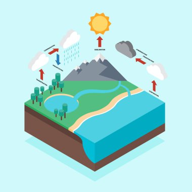 Hydrologic döngüsü Infographic izometrik düz tasarım
