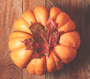 Ahşap arka plan üzerinde en iyi düz kabak hipster tonda.