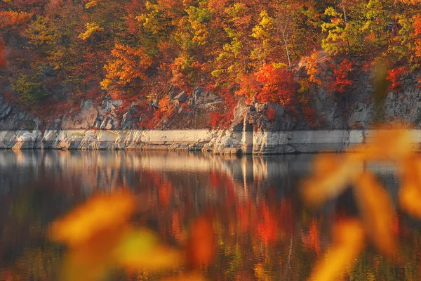 Güzel sonbahar manzarası, göl ve taş yansıma.