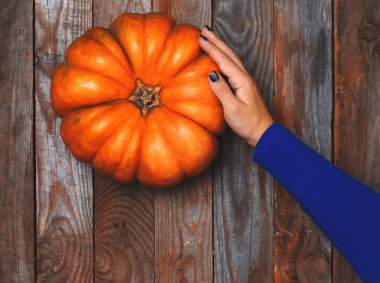 Olgun turuncu kabak ve kadın eli en iyi düz görünüm.