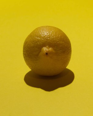 Stüdyonun önünde olgun limonun kadın göğsüne benzer bir görüntüsü var..