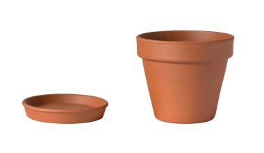 Yepyeni turuncu kil saksıda izole edilmiş..