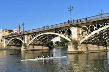 Rowers Guadalquivir Nehri üzerinde