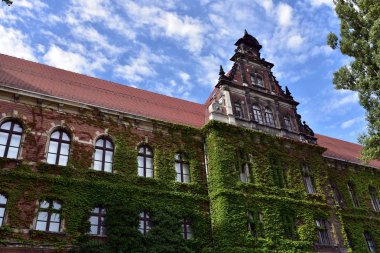 Bina, Ulusal Müzesi mimar Karl Friedrich Endell tarafından tasarlanmış muhteşem sarmaşık kaplı Wroclaw Polonya'da 
