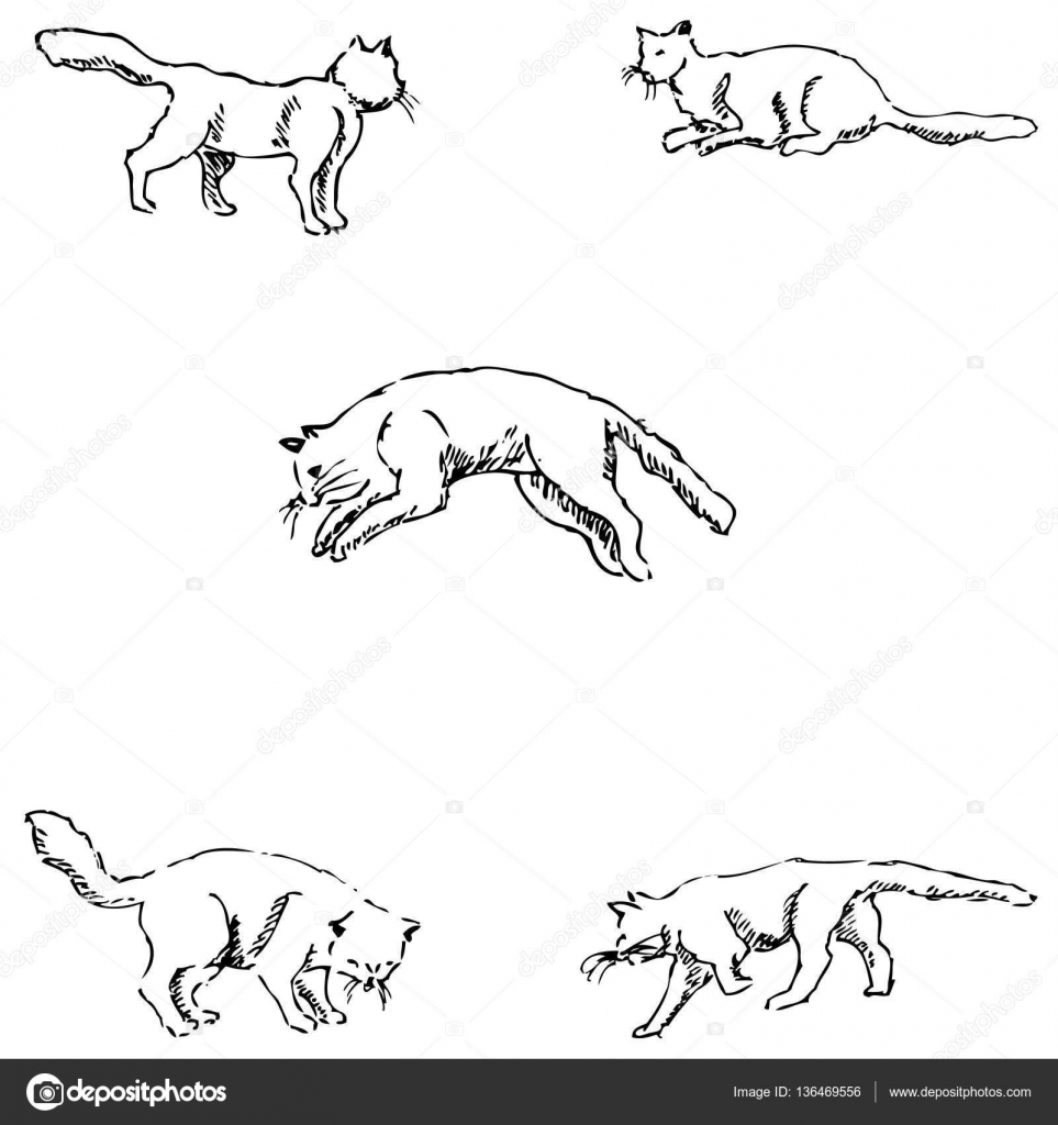 Koty Szkic Ręcznie Rysunek Ołówkiem Grafika Wektorowa