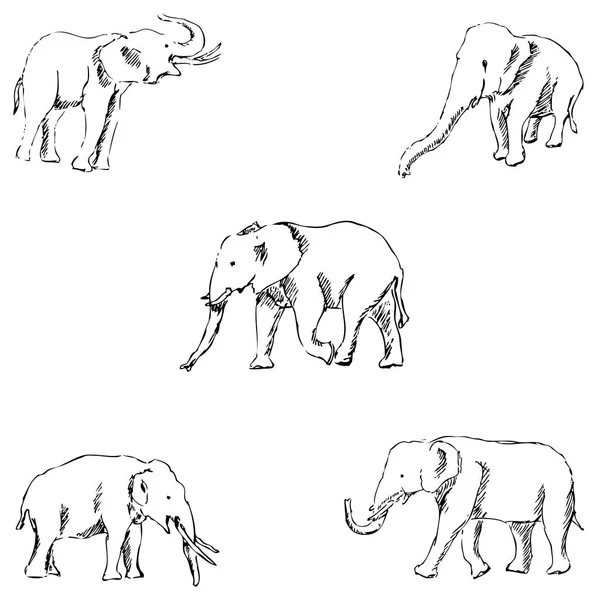 Elefantes. Un boceto a mano. Dibujo a lápiz — Archivo Imágenes Vectoriales