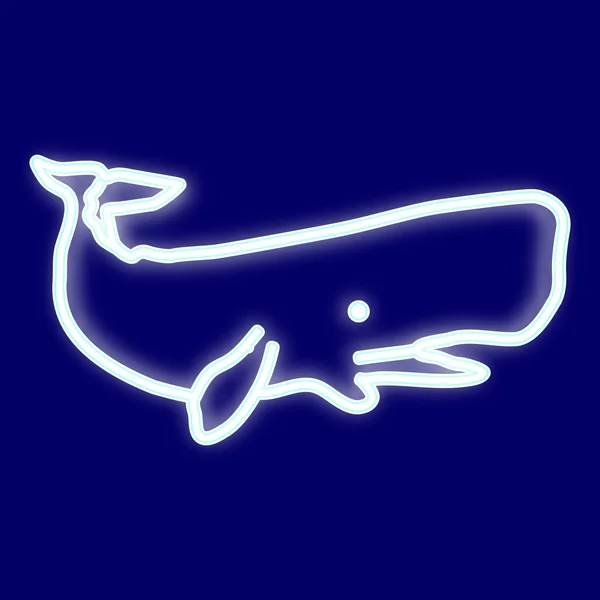 クジラのイメージ. — ストックベクタ