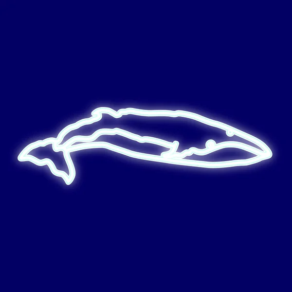 Εικόνα της γαλάζιας φάλαινας. — Διανυσματικό Αρχείο
