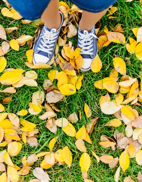 Girls legs in shoes stand on autumn leaves fall concept