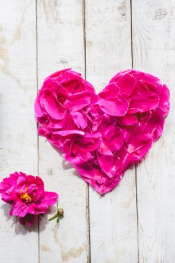 kalp şeklinde yaprakları