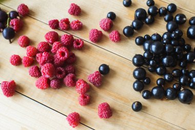 vahşi orman meyveleri