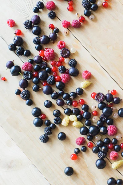 Waldbeeren — Stockfoto