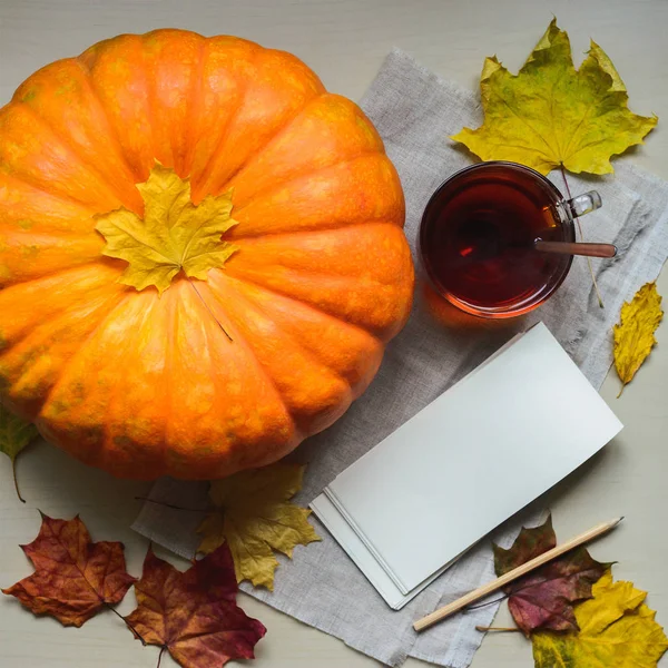 Turuncu kabak taze hasat