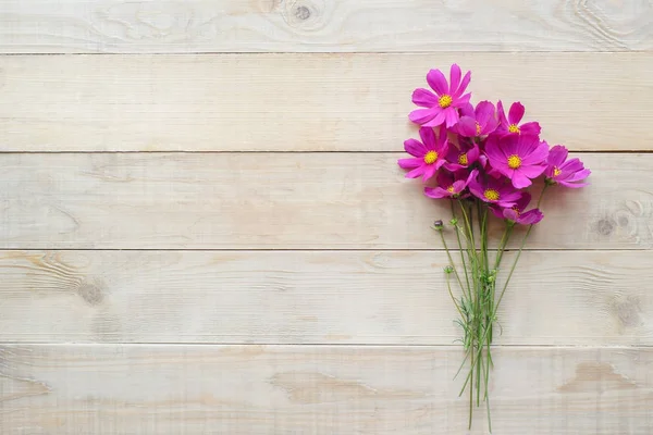 Ramo de flores cosmos — Foto de Stock