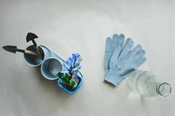 Bodegón de jacinto mezclar la planta y herramientas de jardinería en maceta de metal, guantes y botella de vidrio con wate — Foto de Stock