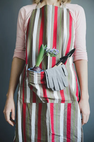 Woman stands in striped apron with hyacinth and small metal shovel — Stock Photo, Image