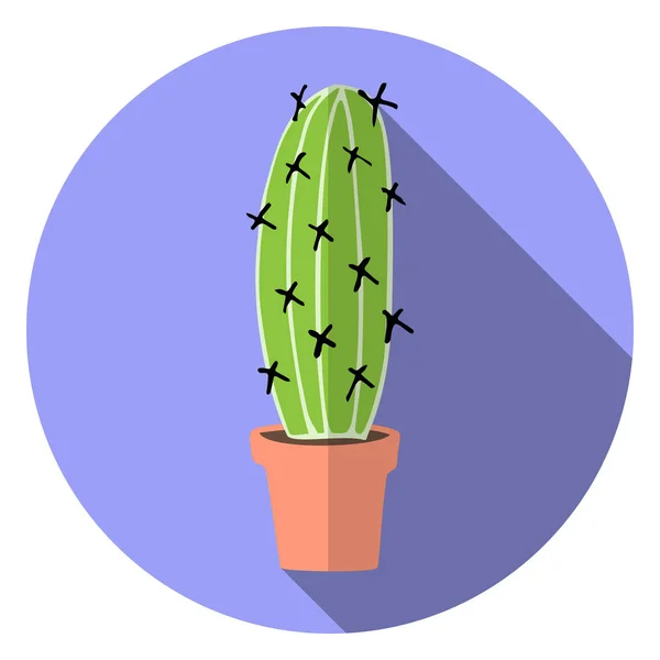 Cactus vectoriel plat en pot sur fond lilas bleu — Image vectorielle