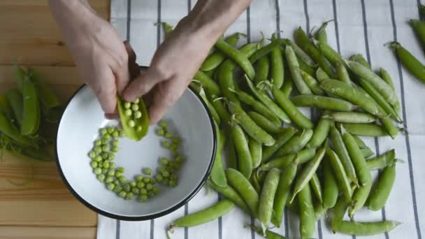 Man schält von Hand frische reife grüne Erbsen — Stockvideo