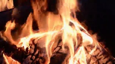 flame fire of bonfire with birch firewood on night, side view close-up full HD stock video footage in real-time
