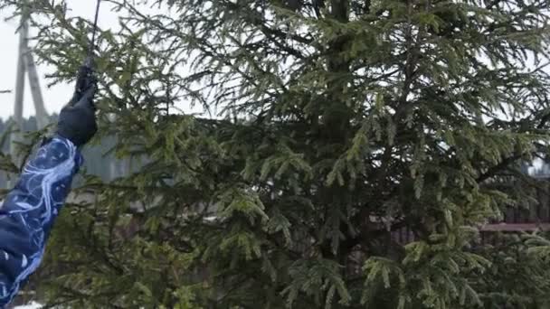 Jeune Femme Prend Soin Arbre Dans Cour Hiver Pulvérisation Épinette — Video