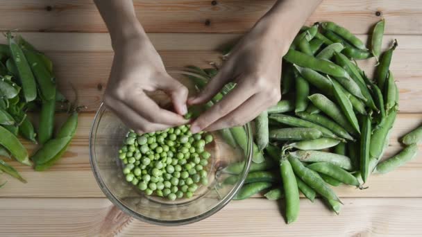 Womans Hand Neemt Sorteert Verse Groene Erwtenboon Van Stapel Opent — Stockvideo