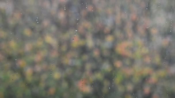 Verschwommen Fallenden Ersten Herbst Schnee Vor Dem Fenster Hause Auf — Stockvideo