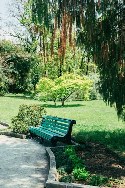 Yazın yeşil ağaçların ve çalıların arka planında insanlar olmadan parkta tek başına bir bank.